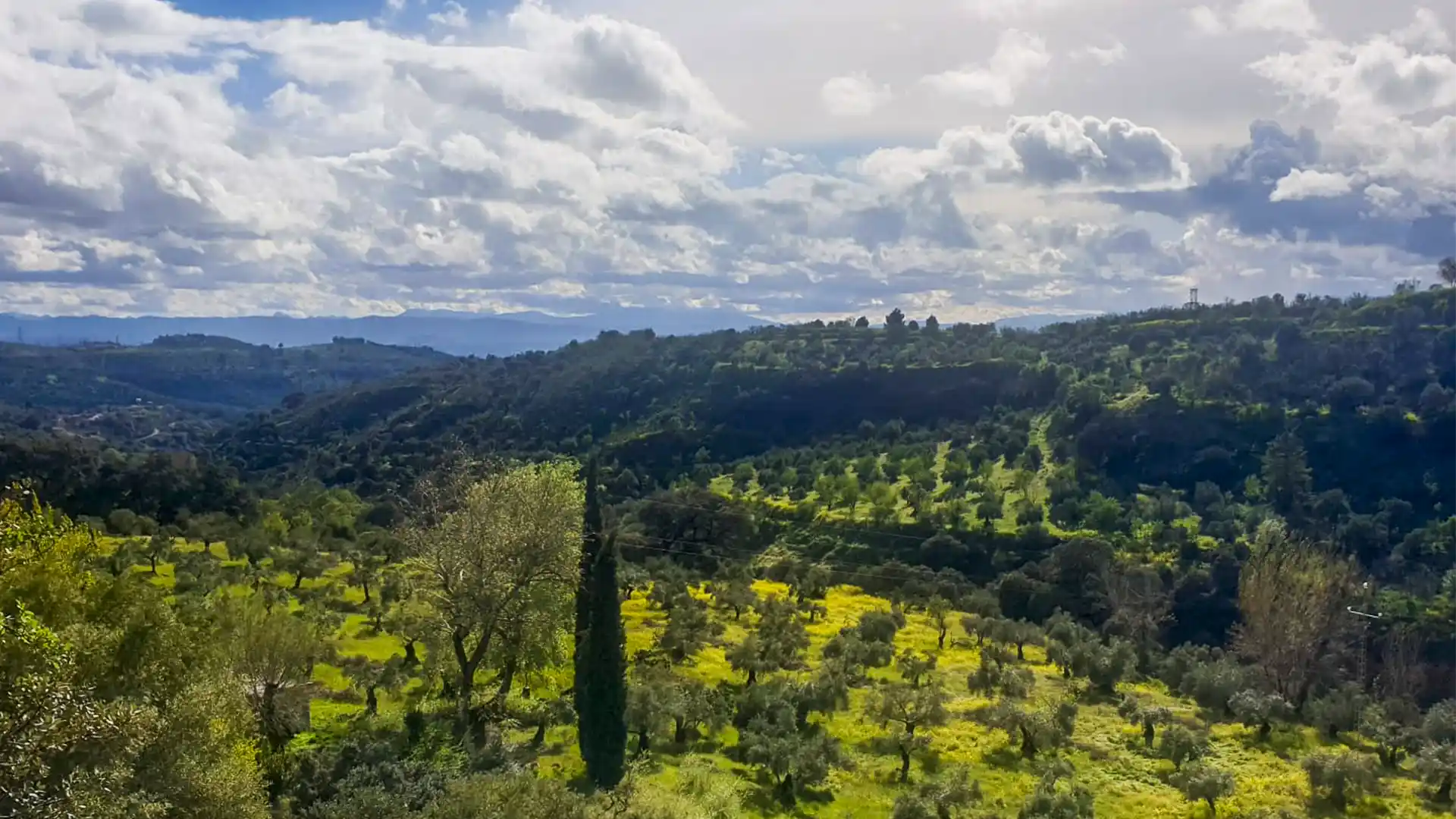 Vista panorámica de Alohaima y su entorno